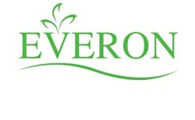 Dịch vụ SEO thông minh cho công ty Everon