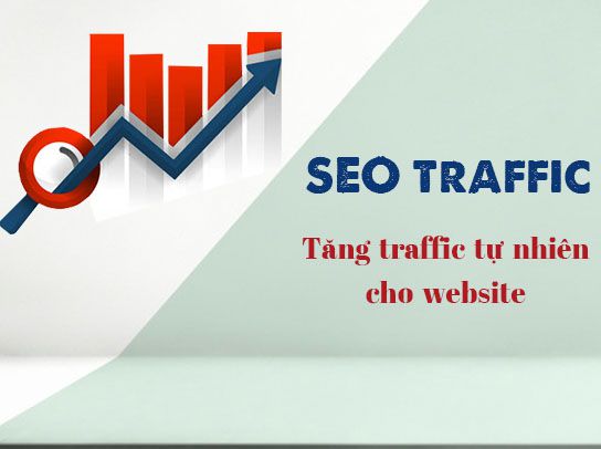 Top 6 cách tăng traffic tự nhiên cho website từ SEO traffic