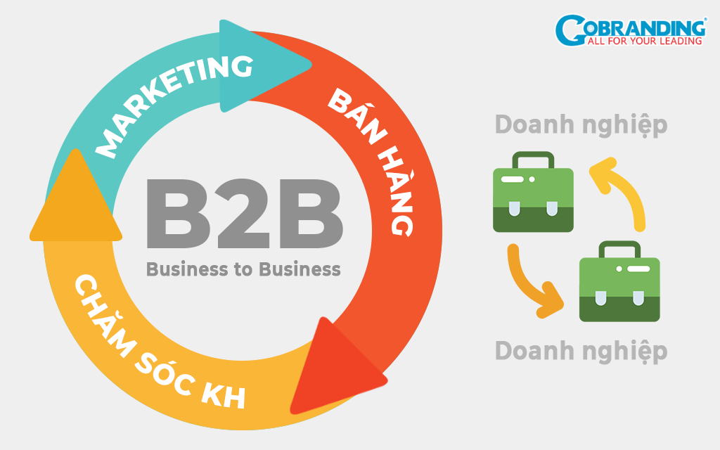 Kinh doanh B2B gồm các hoạt động Marketing, bán hàng, chăm sóc khách hàng 
