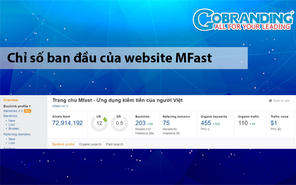 Chỉ số ban đầu của website MFast