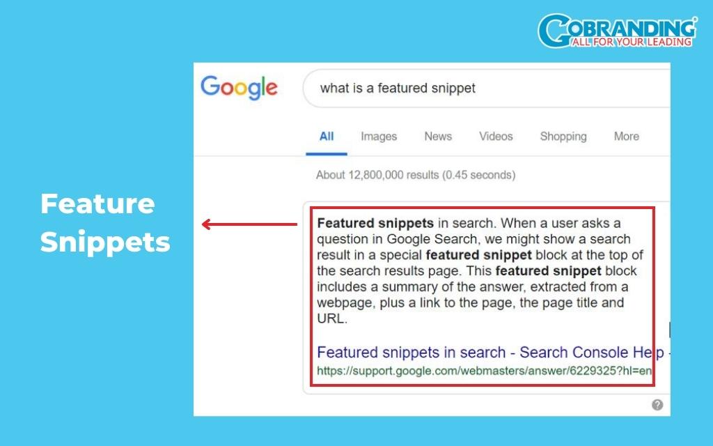 Feature Snippets