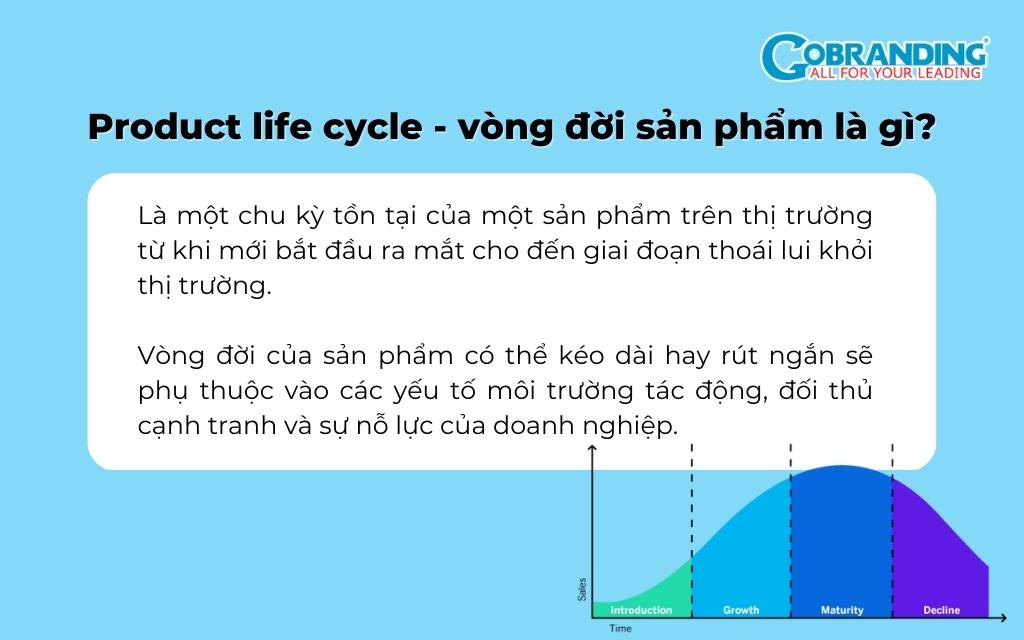 Tìm hiểu về product life cycle