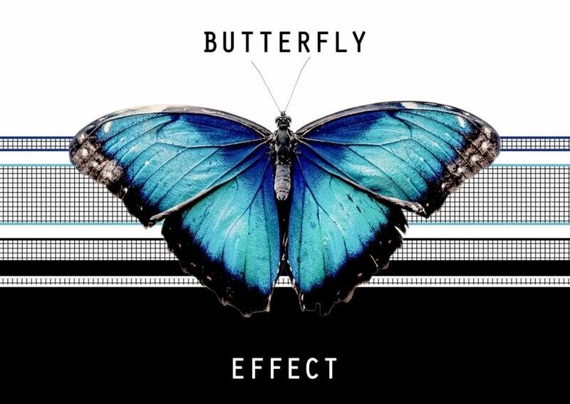 khái niệm hiệu ứng cánh bướm