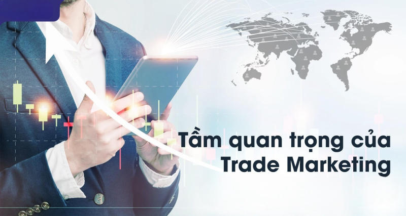trade marketer là gì