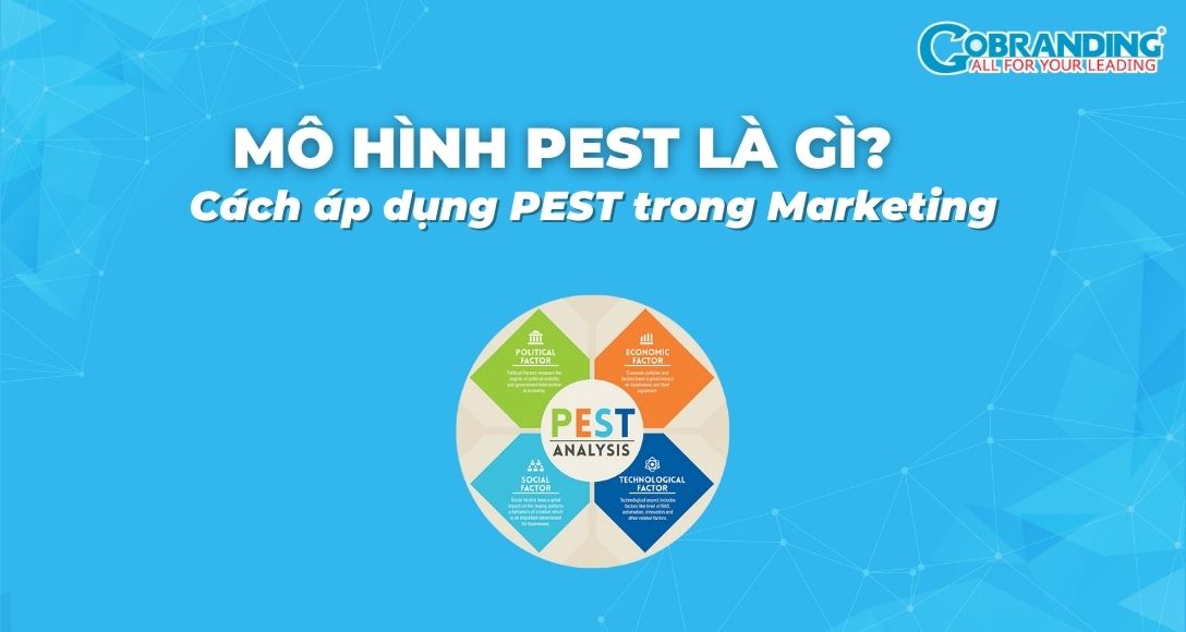 Mô hình PEST là gì? Cách áp dụng PEST trong Marketing